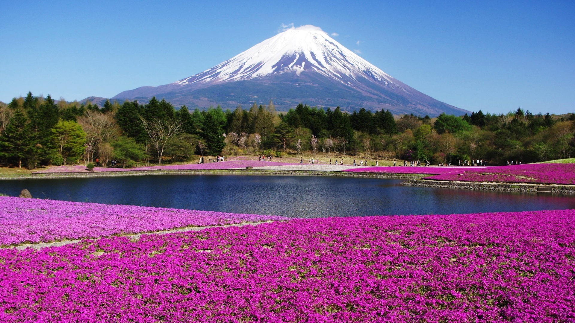 earth-mount_fuji-385559